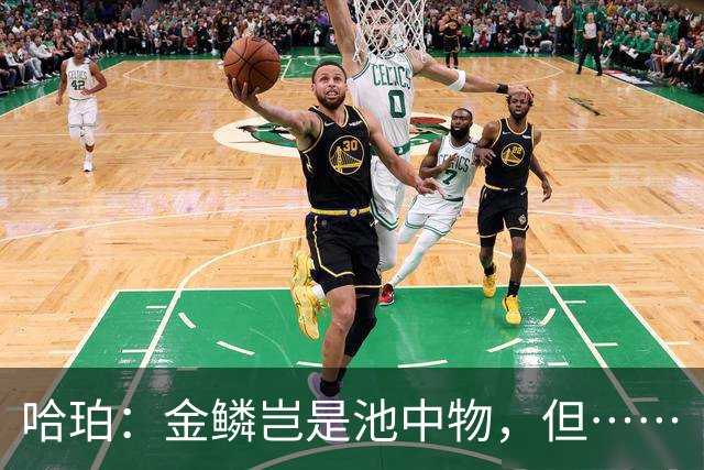 哈珀：金鳞岂是池中物，但……