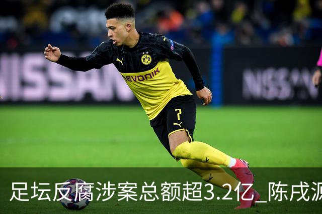 足坛反腐涉案总额超3.2亿 陈戌源李铁2人达2亿